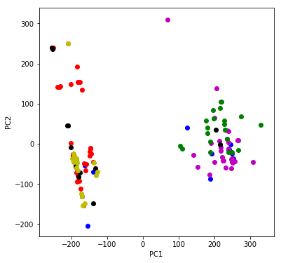 Day12: Visualizing high-dimensional data: TSNE & PCA